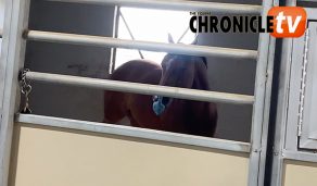 EC Video of the Day: Feeling FridayLicious