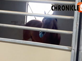 EC Video of the Day: Feeling FridayLicious