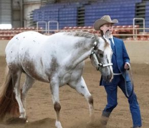 EC Photo of the Day: Way to Show!