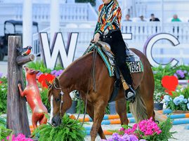 Explore Upcoming Events at World Equestrian Center – Ocala