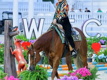 Explore Upcoming Events at World Equestrian Center – Ocala