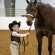 EC Photo of the Day: First Showmanship Class