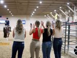Around the Rings: 2026 AQHA West Level 1 Championships