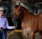 Throwaway to Thriving: Rescued by Debbie Hubbert from a dire fate as a weanling, one-eyed DunGotShot became a ranch unicorn for Alexa Bell.
