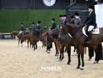Big Money Paid in Trail and Hunter Under Saddle Mid-Week at The Madness