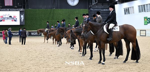 Big Money Paid in Trail and Hunter Under Saddle Mid-Week at The Madness
