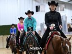Cannizzaro and Hatten Win 3YO Open, Intermediate Western Pleasure at The Madness