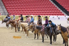AQHA Executive Committee Approves Show Committee Recommendations