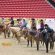 AQHA Executive Committee Approves Show Committee Recommendations