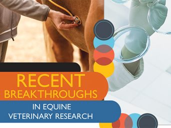 Recent Breakthroughs In Equine Veterinary Research