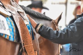 EC Photo of the Day: Mares Teach Us