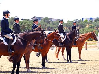 Inaugural AQHA/PCQHA All English Over Fence & Flat Show a Soaring Success