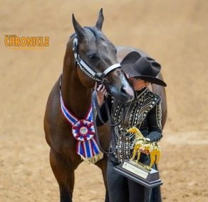 2026 AQHYA World Championship Show Entries Open