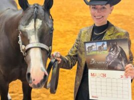 The 2026 APHA/WCHA Halter Million Schedule Now Available