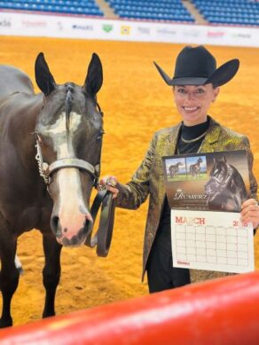 The 2026 APHA/WCHA Halter Million Schedule Now Available