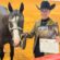 The 2026 APHA/WCHA Halter Million Schedule Now Available