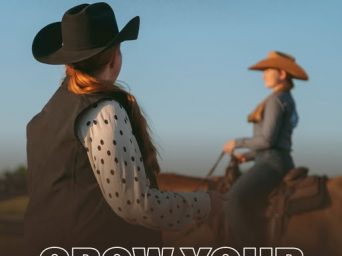 AQHA Prepares to Launch the Horseback Lesson Directory