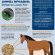 Animal Health Officials Respond to Second Detection of New World Screwworm in the United States