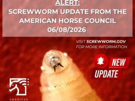 New World Screwworm Update from the American Horse Council
