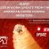 New World Screwworm Update from the American Horse Council