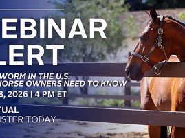 US Equestrian and AAEP Webinar: New World Screwworm Risk to Horses