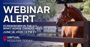 US Equestrian and AAEP Webinar: New World Screwworm Risk to Horses