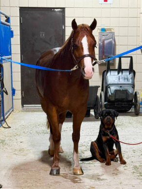 EC Photo of the Day: Man’s Best Friends