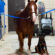EC Photo of the Day: Man’s Best Friends