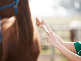 Hagyard Equine Medical Institute Announces Creation of a Novel Salmonella Vaccine