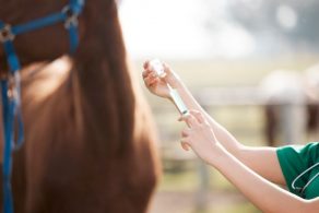 Hagyard Equine Medical Institute Announces Creation of a Novel Salmonella Vaccine