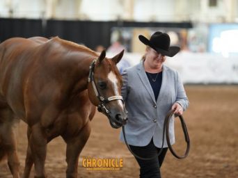 EC Photo of the Day: What Love Is
