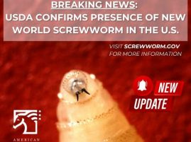 USDA Confirms Presence of New World Screwworm in the United States