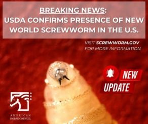 USDA Confirms Presence of New World Screwworm in the United States