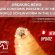 USDA Confirms Presence of New World Screwworm in the United States