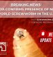 USDA Confirms Presence of New World Screwworm in the United States