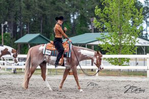 June 30th Deadline for APHA Color Bonus Eligibility Declaration