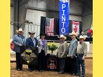 2026 WCHA Yellow Rose Amateur Youth All Breed Halter Futurity at Pinto World