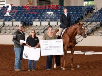 AQHA English Versatility Series Leaderboard Showcases Top Horses Nationwide