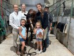 More Around the Rings:  2026 Pinto World Championship Show