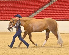 EC Photo of the Day: I Spy