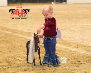 EC Photo of the Day: Future Halter Horse Queen