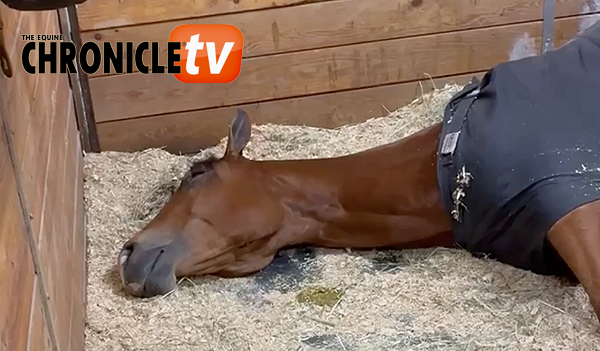 EC Video of the Day: Monday – So Inconvenient