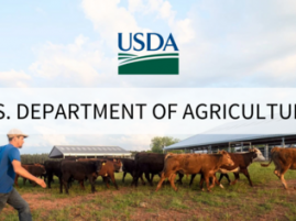 Trump Administration Announces Texas Cattleman and Food Safety Entrepreneur John Bellinger as Senior Advisor New World Screwworm Preparedness