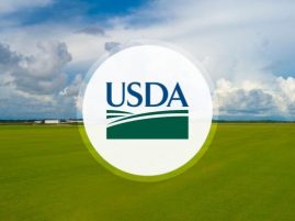 USDA Invests in Projects to Strengthen New World Screwworm Preparedness and Response