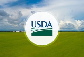 USDA Invests in Projects to Strengthen New World Screwworm Preparedness and Response