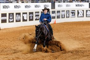 A Vintage Smoke Becomes an NRHA Million Dollar Sire