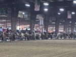 Around the Rings: 2026 IBHA World Championship Show
