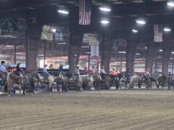 Around the Rings: 2026 IBHA World Championship Show