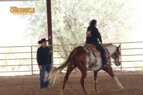 AQHA Makes Finding Horseback Riding Lessons Easier Than Ever