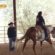 AQHA Makes Finding Horseback Riding Lessons Easier Than Ever